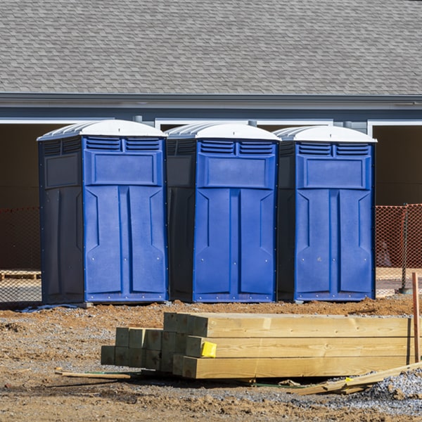 what is the cost difference between standard and deluxe portable toilet rentals in Hudson WI